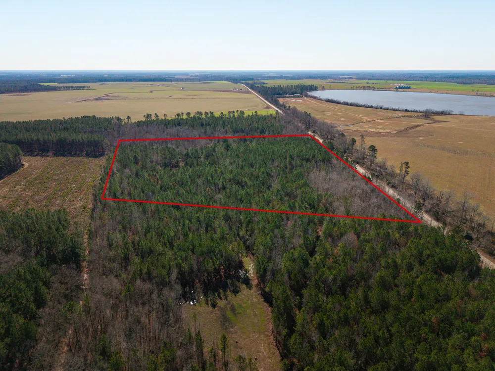 19.3 Acres Ga-305 Midville, GA 30441