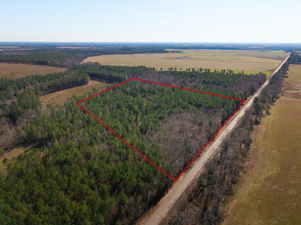 19.3 Acres Ga-305 Midville, GA 30441