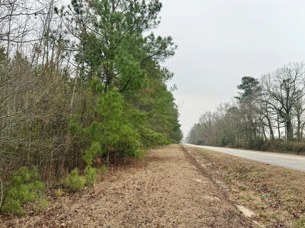 19.3 Acres Ga-305 Midville, GA 30441