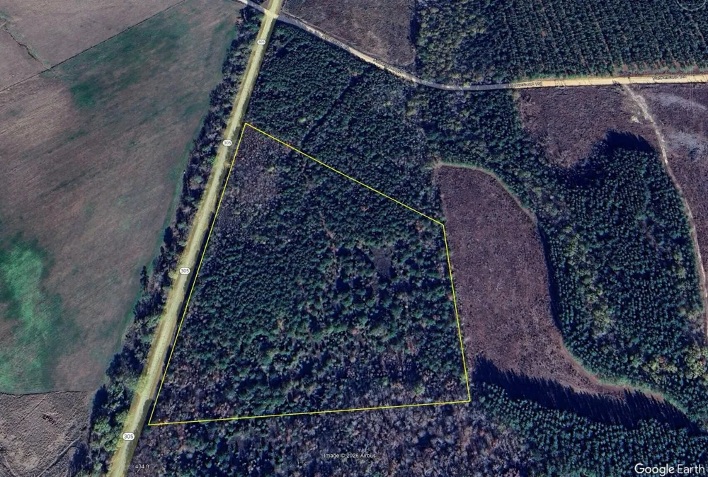 19.3 Acres Ga-305 Midville, GA 30441