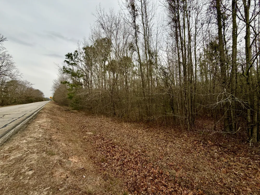 19.3 Acres Ga-305 Midville, GA 30441