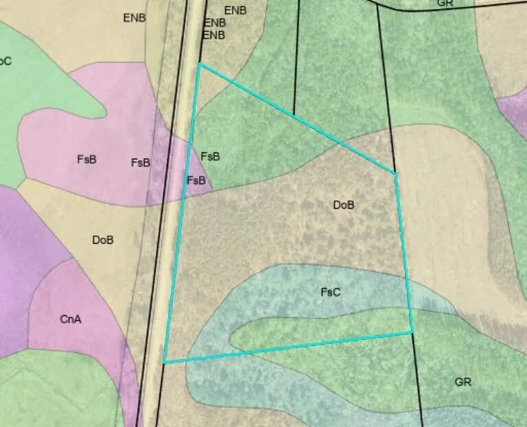 19.3 Acres Ga-305 Midville, GA 30441