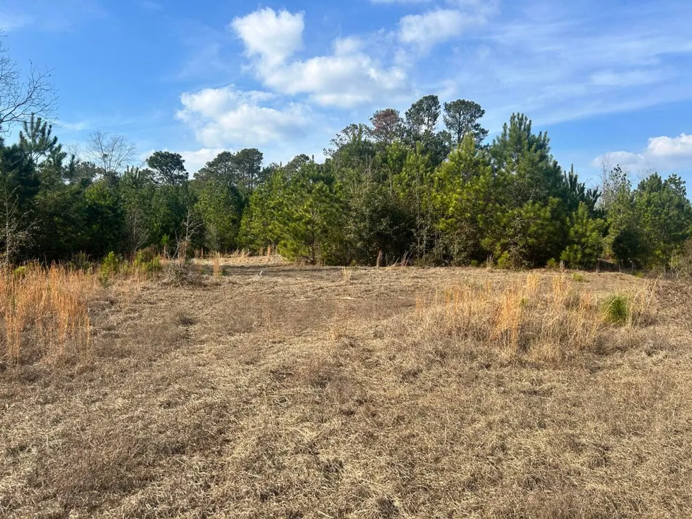 301 Fairway Drive New Ellenton, SC 29809