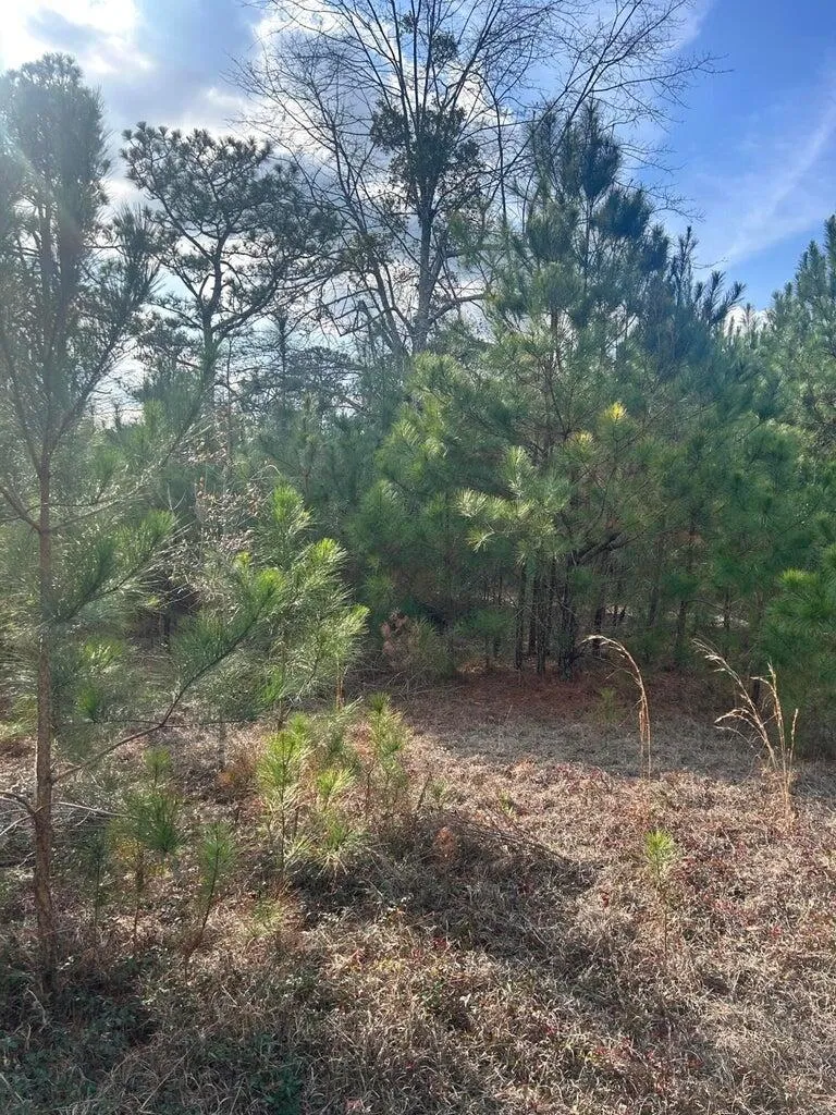 301 Fairway Drive New Ellenton, SC 29809