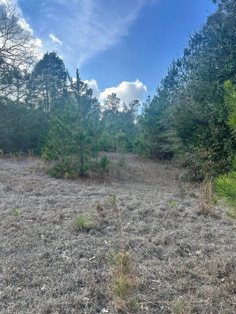 301 Fairway Drive New Ellenton, SC 29809