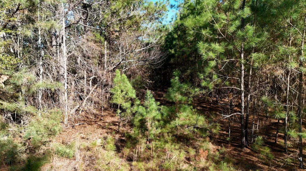 301 Fairway Drive New Ellenton, SC 29809