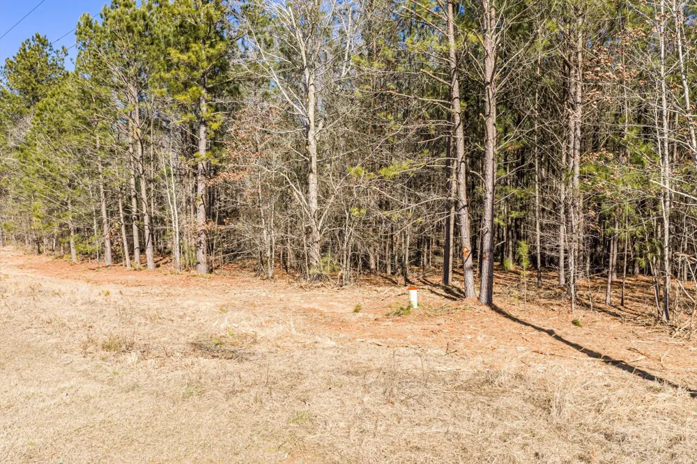 1036 Chennault Drive Tignall, GA 30668