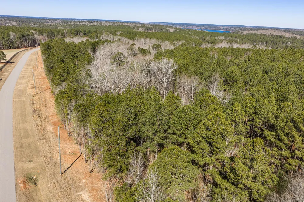 1036 Chennault Drive Tignall, GA 30668