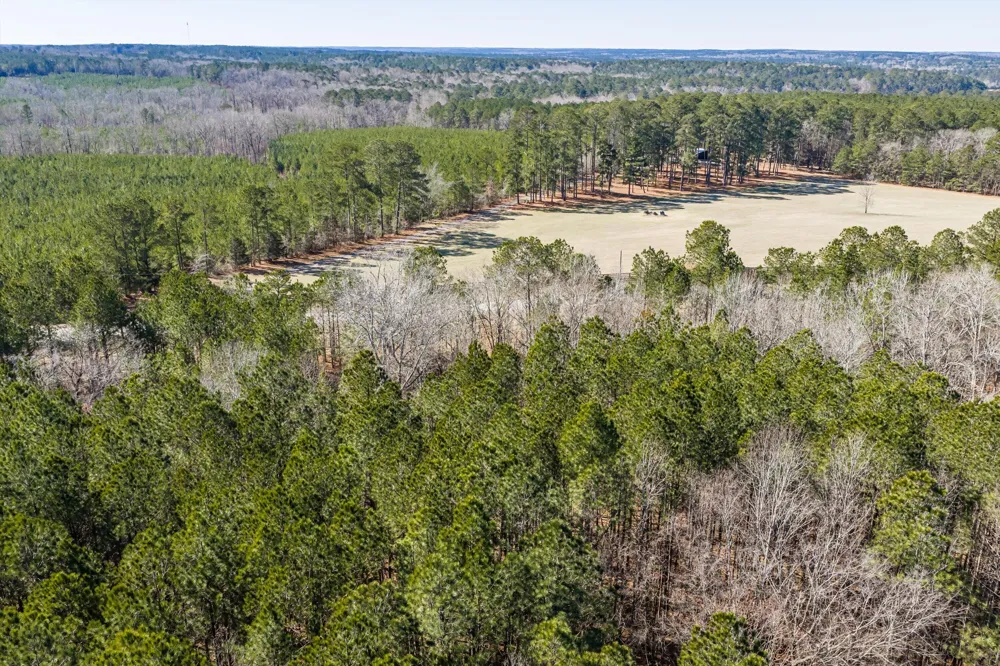 1036 Chennault Drive Tignall, GA 30668