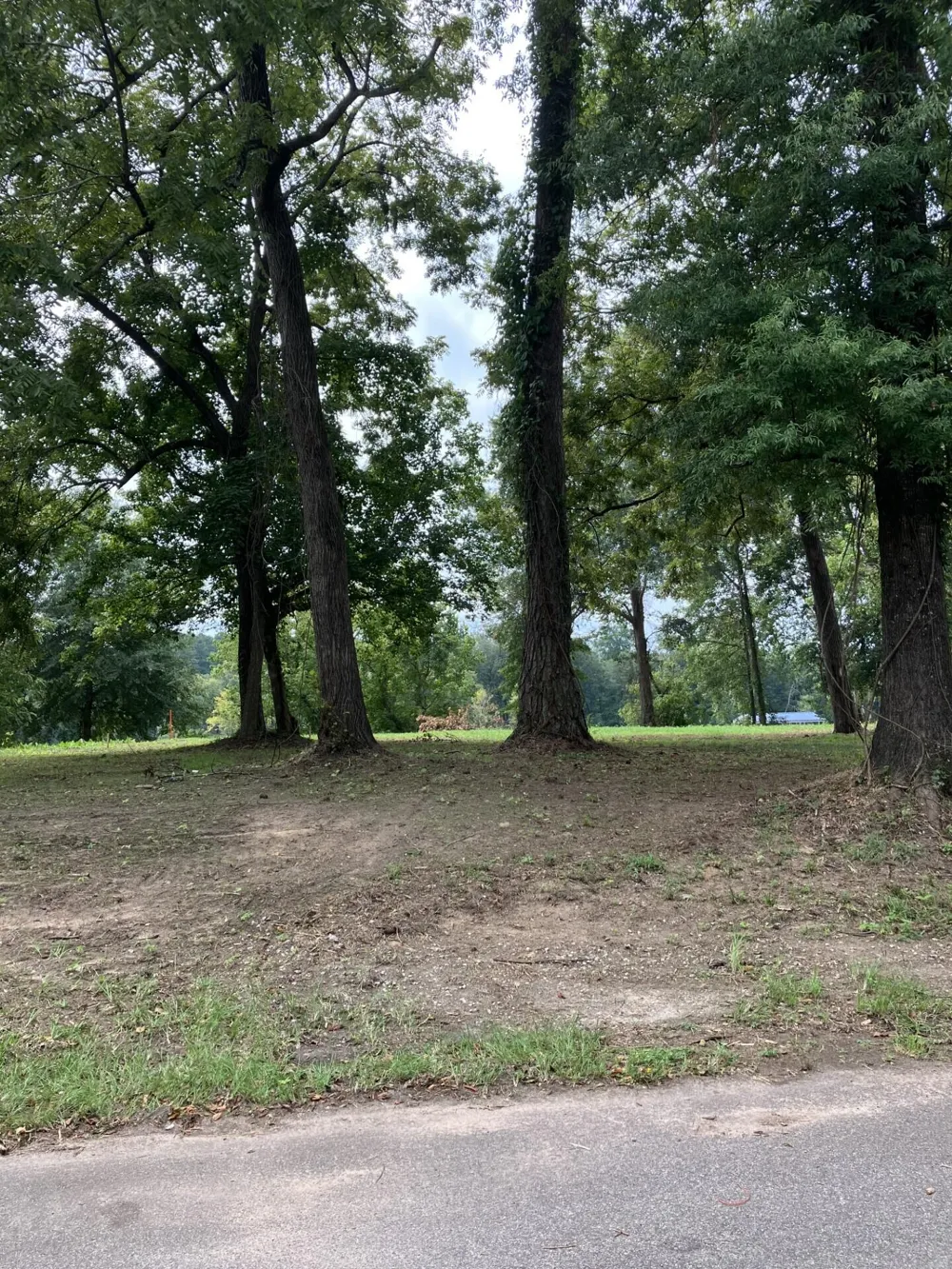 165 River Bend Drive Clarks Hill, SC 29821