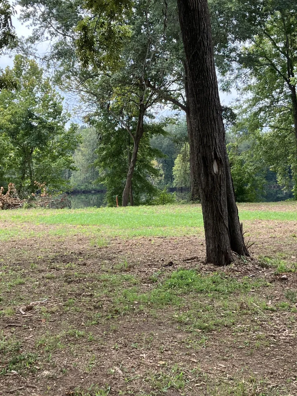 165 River Bend Drive Clarks Hill, SC 29821