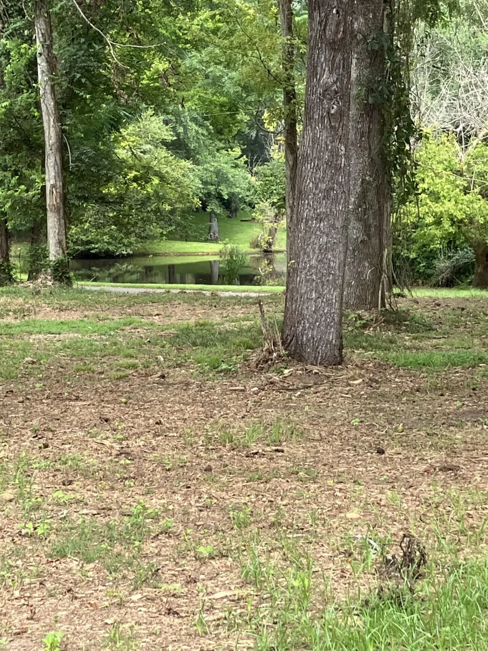 165 River Bend Drive Clarks Hill, SC 29821