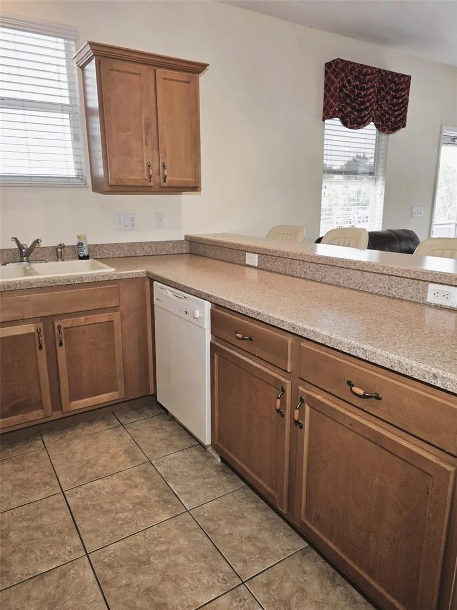 6402 BARCELLONA ROAD Land O Lakes, FL 34637