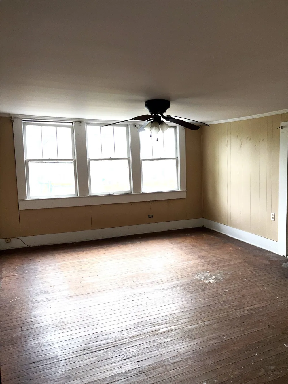 213 McDonald Street Minden, LA 71055