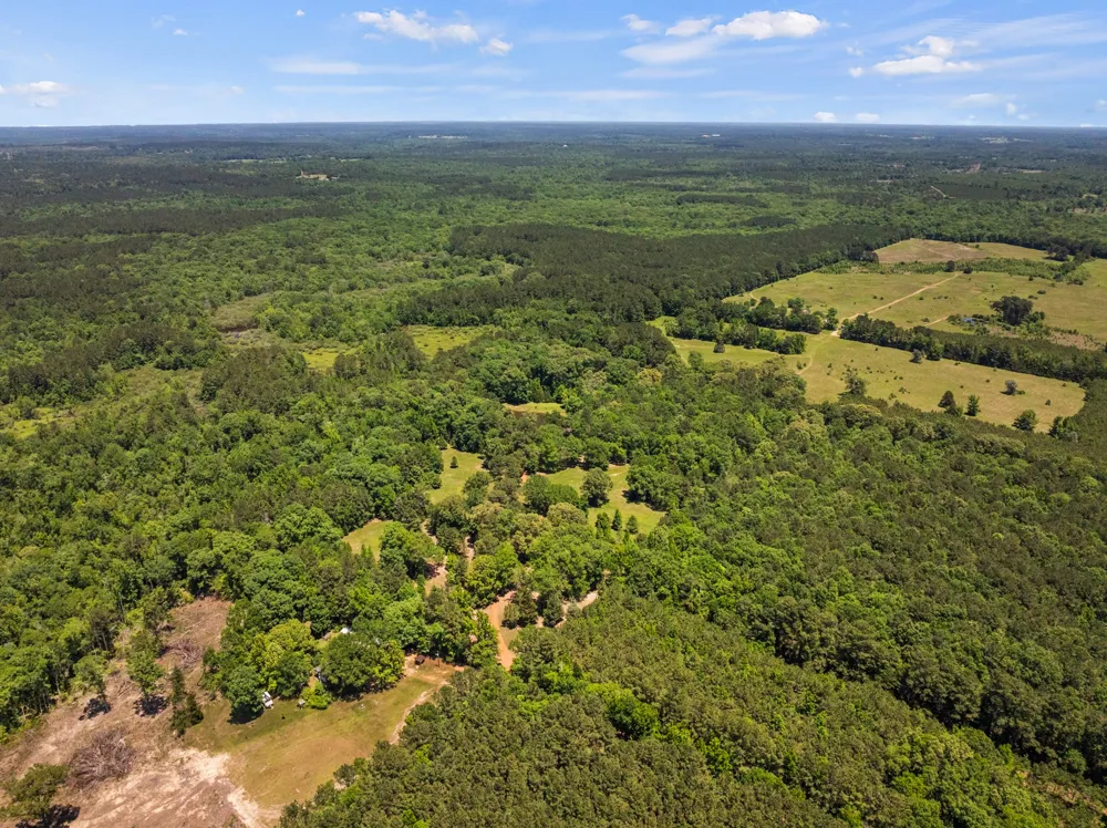 4469 County Road 1579 Avinger, TX 75630