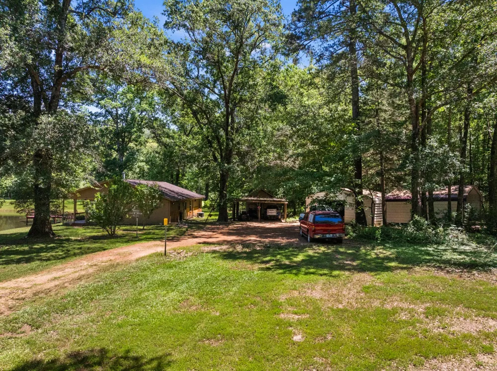 4469 County Road 1579 Avinger, TX 75630