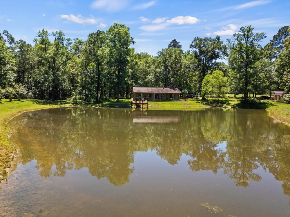 4469 County Road 1579 Avinger, TX 75630