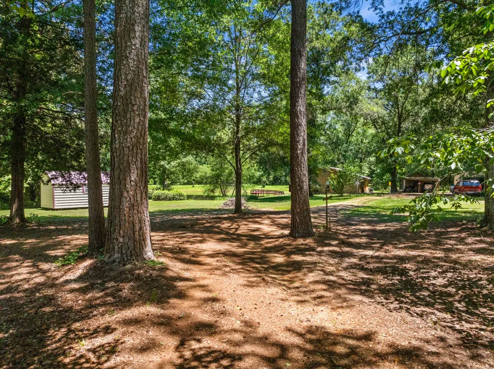 4469 County Road 1579 Avinger, TX 75630