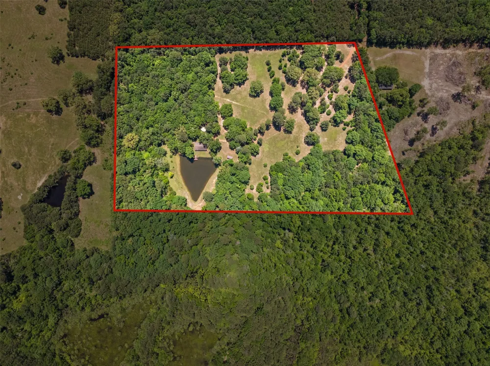 4469 County Road 1579 Avinger, TX 75630