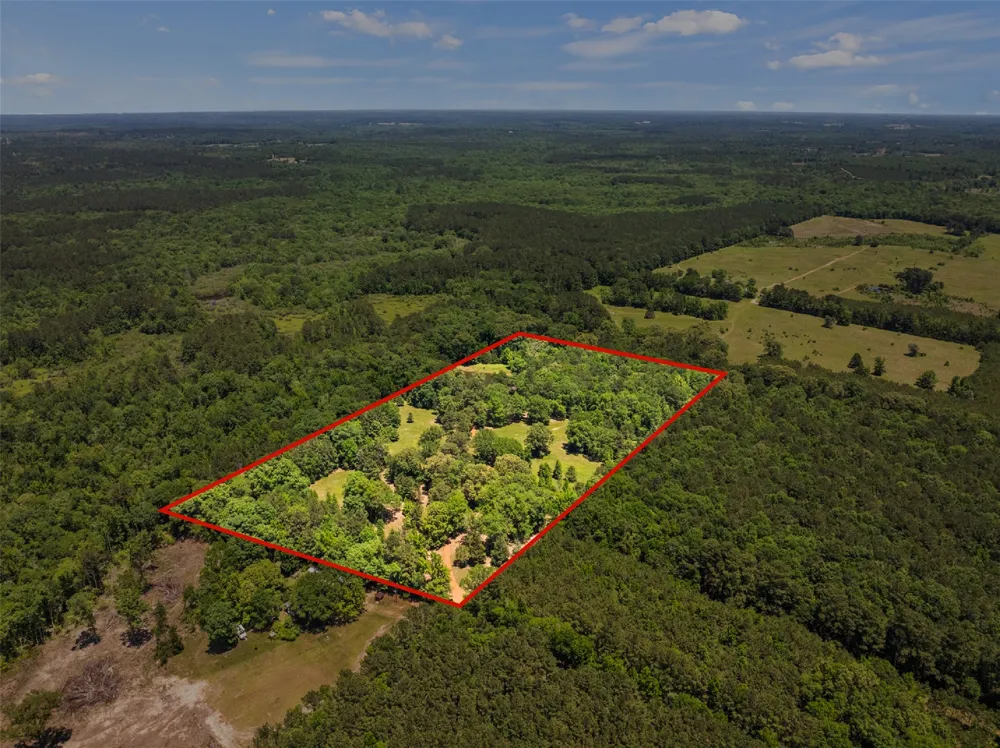 4469 County Road 1579 Avinger, TX 75630