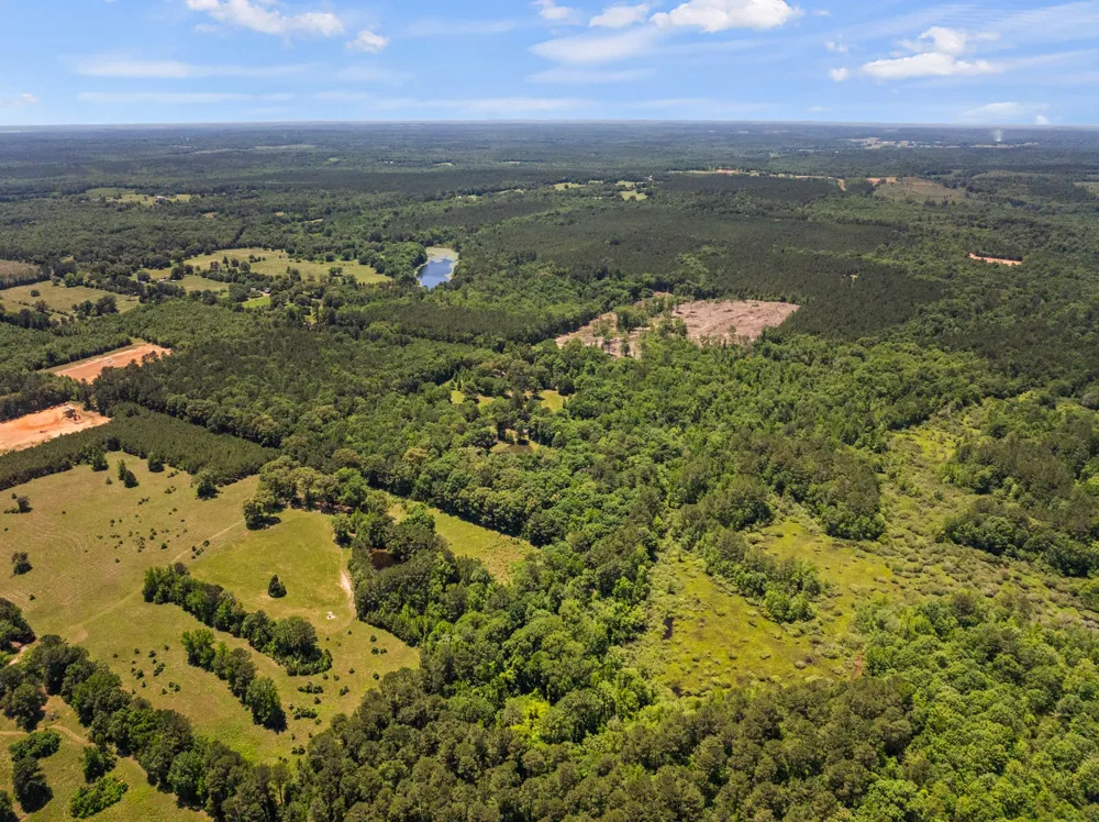 4469 County Road 1579 Avinger, TX 75630