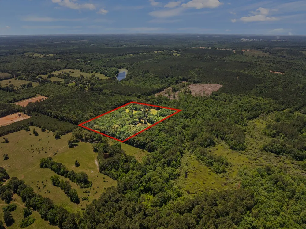 4469 County Road 1579 Avinger, TX 75630