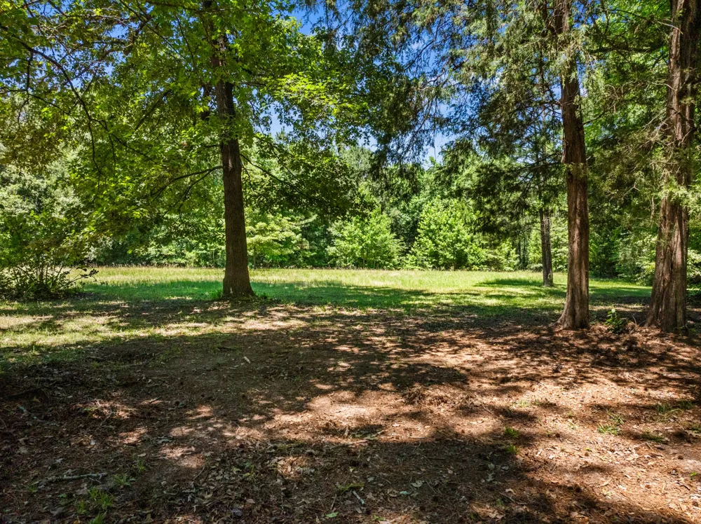 4469 County Road 1579 Avinger, TX 75630