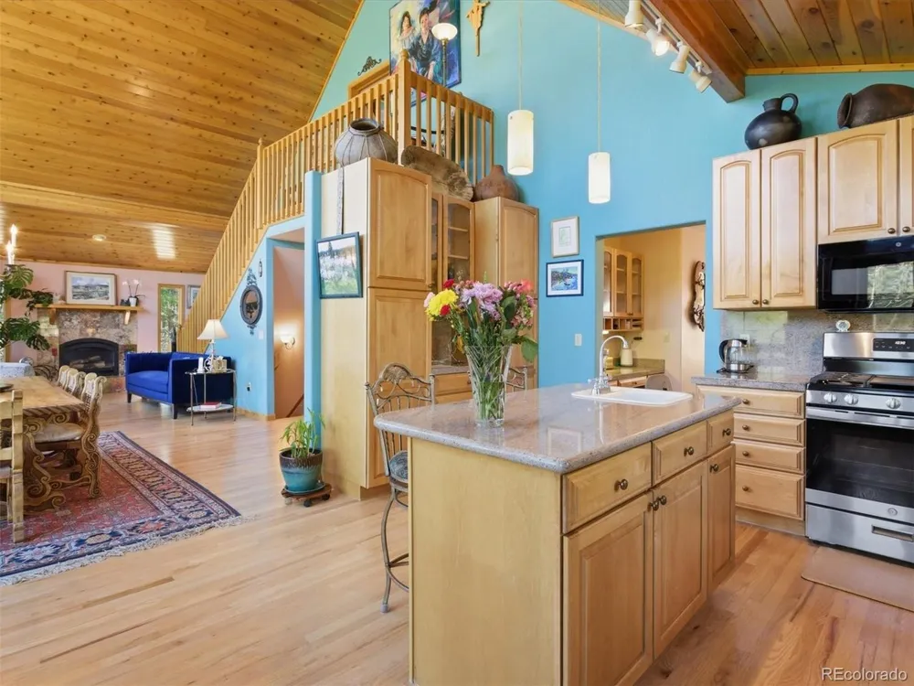 232 Highlands Drive Bailey, CO 80421