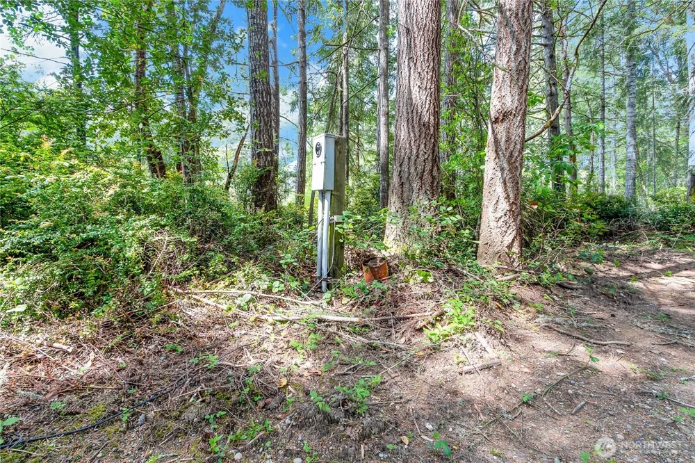 16405 84th Street NW Lakebay, WA 98349