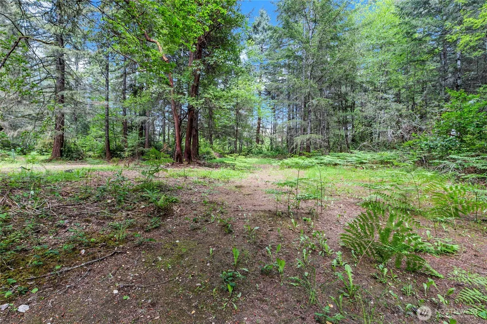 16405 84th Street NW Lakebay, WA 98349