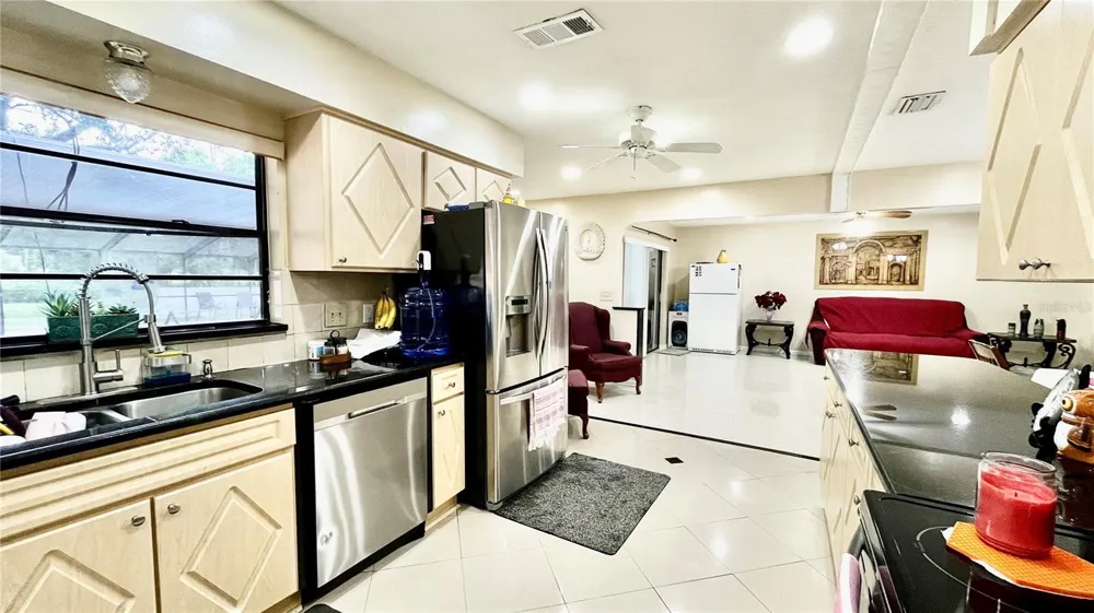 14216 BRIARTHORN DRIVE Tampa, FL 33625