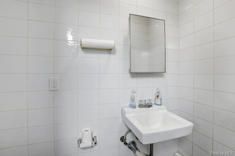 4169 Iris Place Bethpage, NY 11714