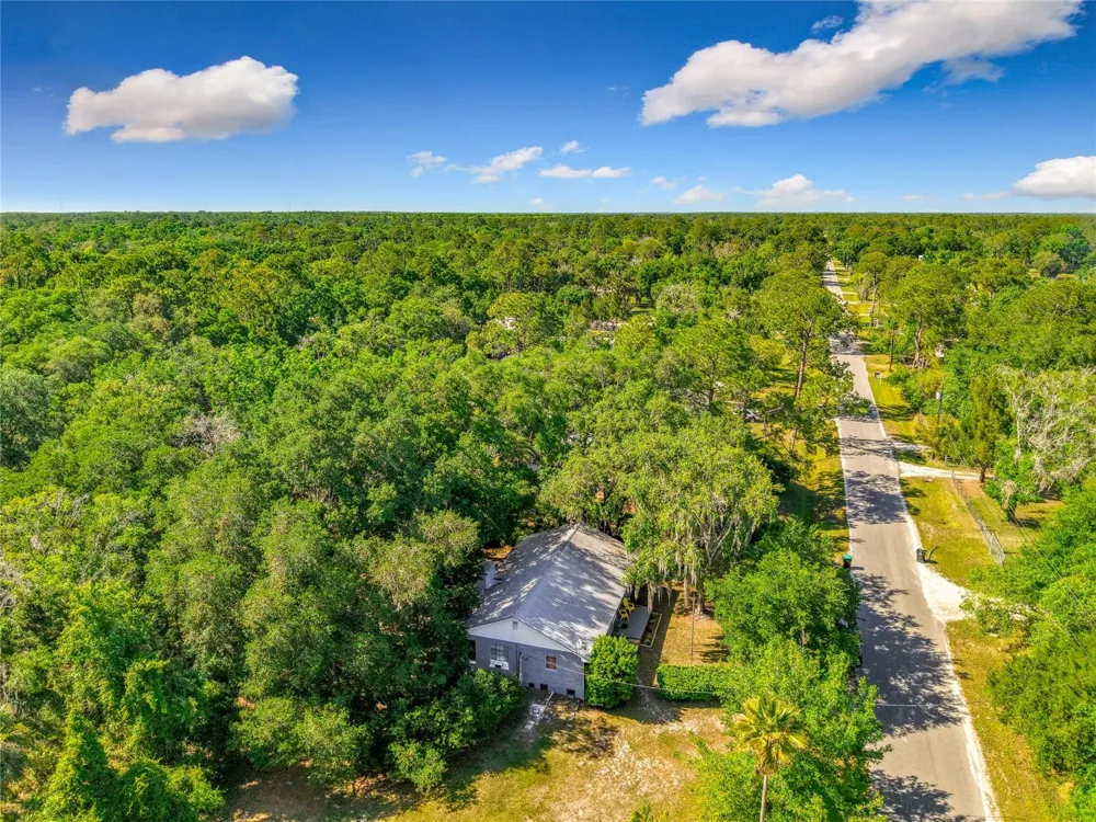 1338 SAINT NICHOLAS AVENUE Christmas, FL 32709