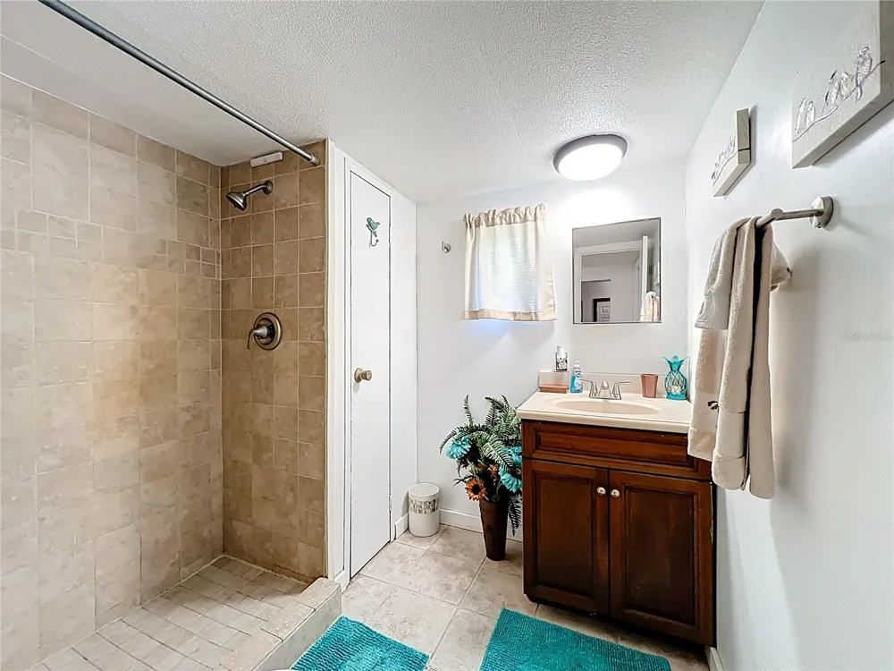 1338 SAINT NICHOLAS AVENUE Christmas, FL 32709
