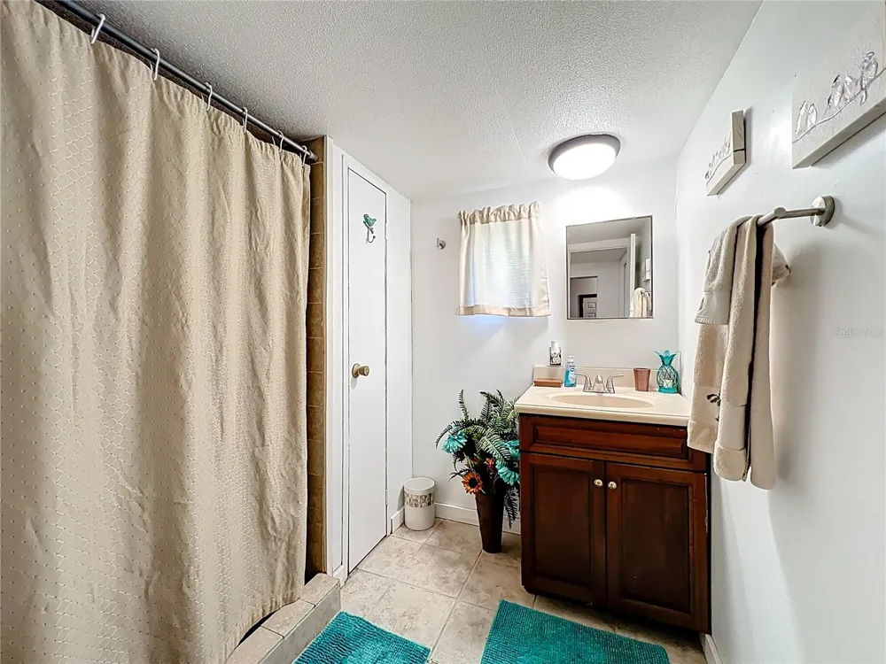 1338 SAINT NICHOLAS AVENUE Christmas, FL 32709