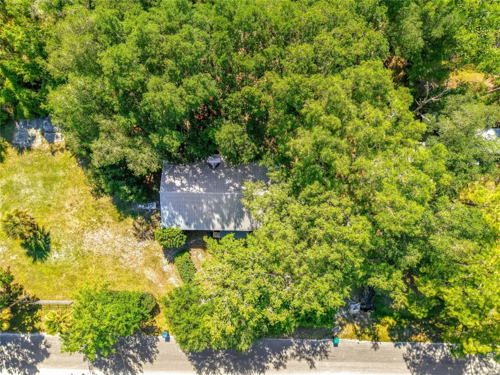 1338 SAINT NICHOLAS AVENUE Christmas, FL 32709