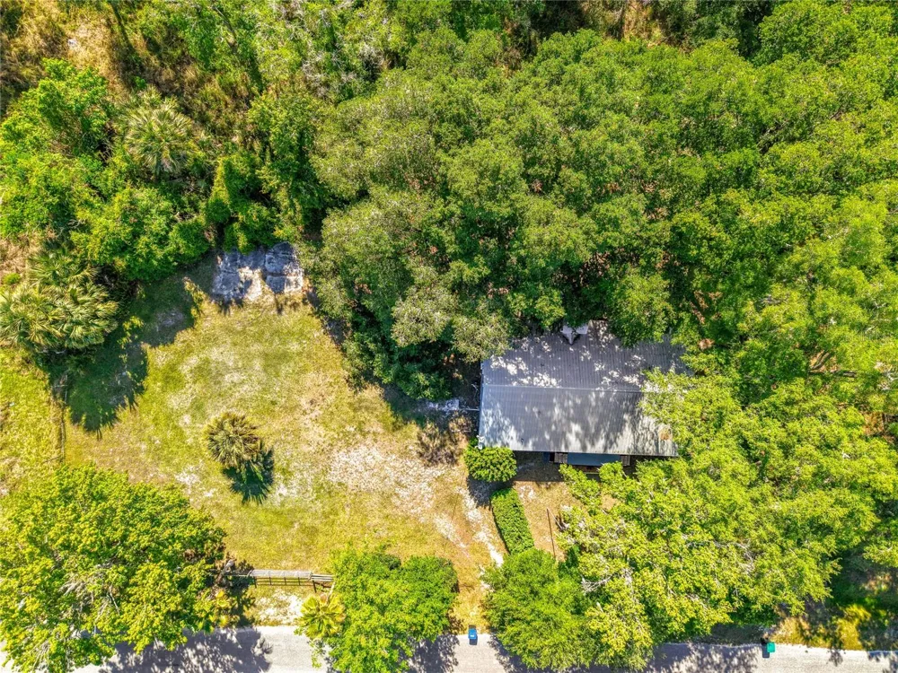 1338 SAINT NICHOLAS AVENUE Christmas, FL 32709