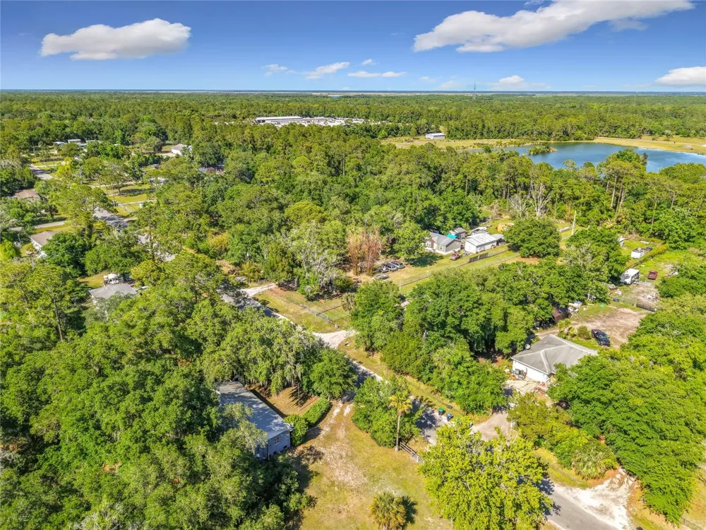 1338 SAINT NICHOLAS AVENUE Christmas, FL 32709