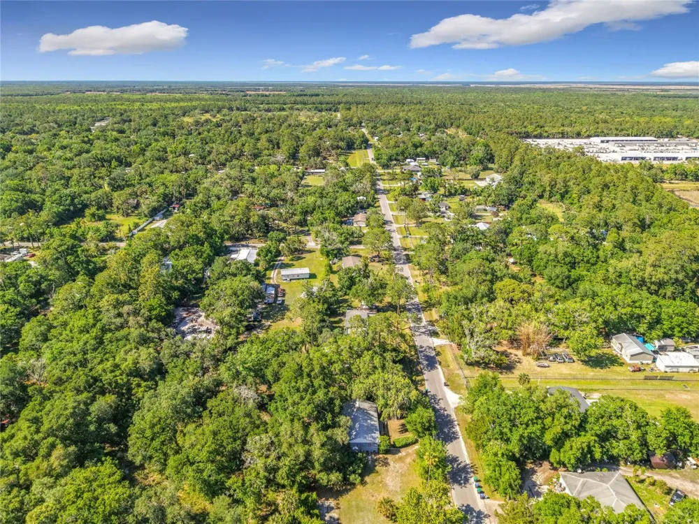 1338 SAINT NICHOLAS AVENUE Christmas, FL 32709