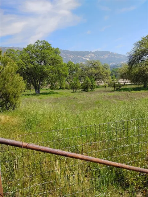 35400 Spanish Oak