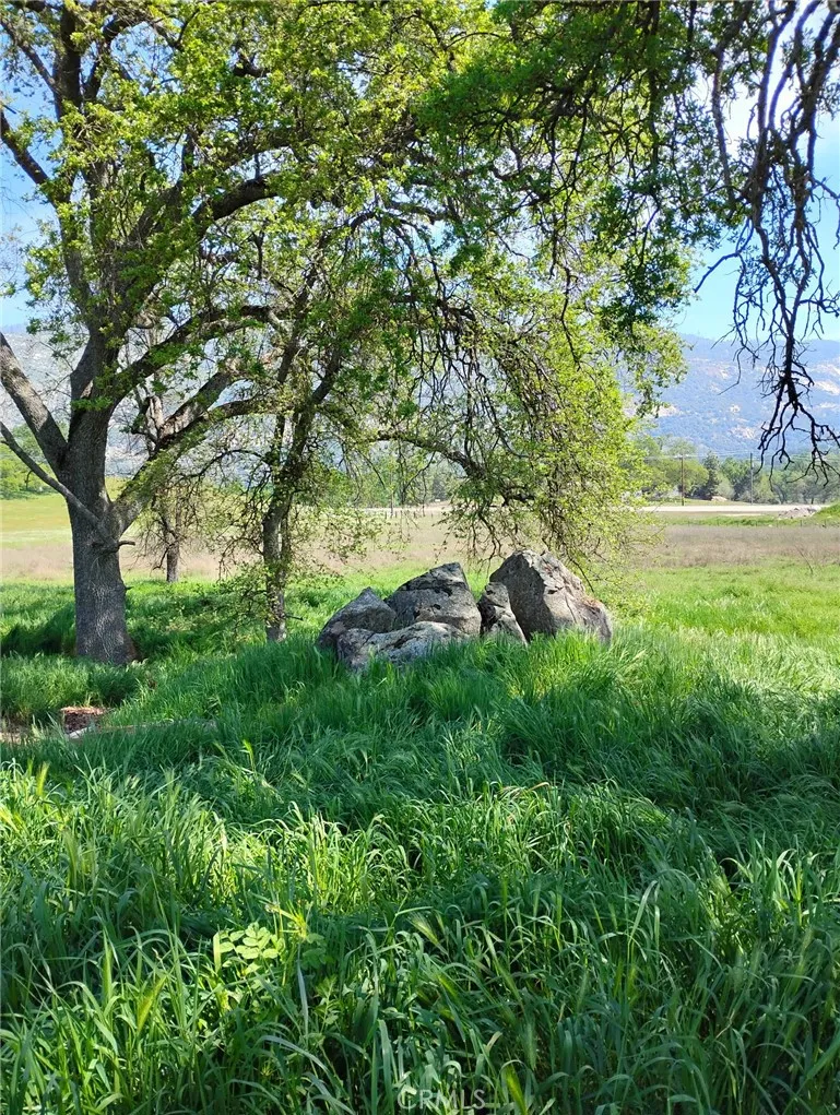 35400 Spanish Oak Auberry, CA 93602