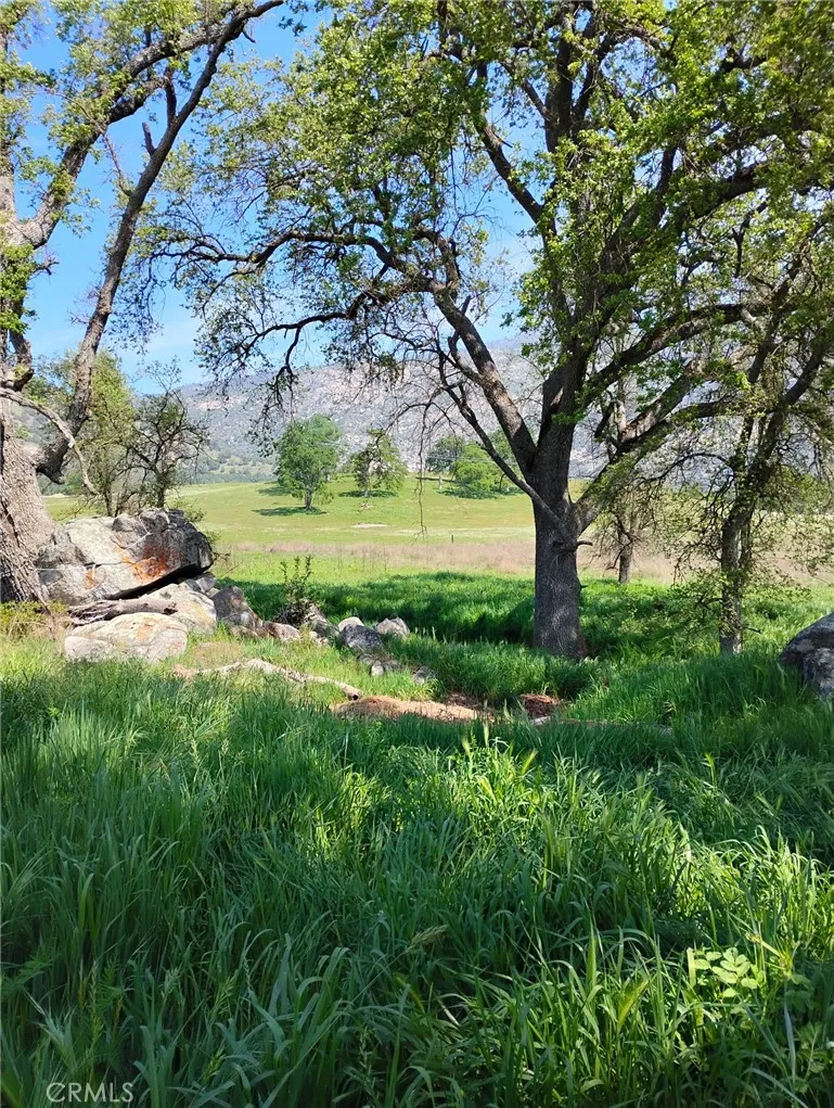 35400 Spanish Oak Auberry, CA 93602