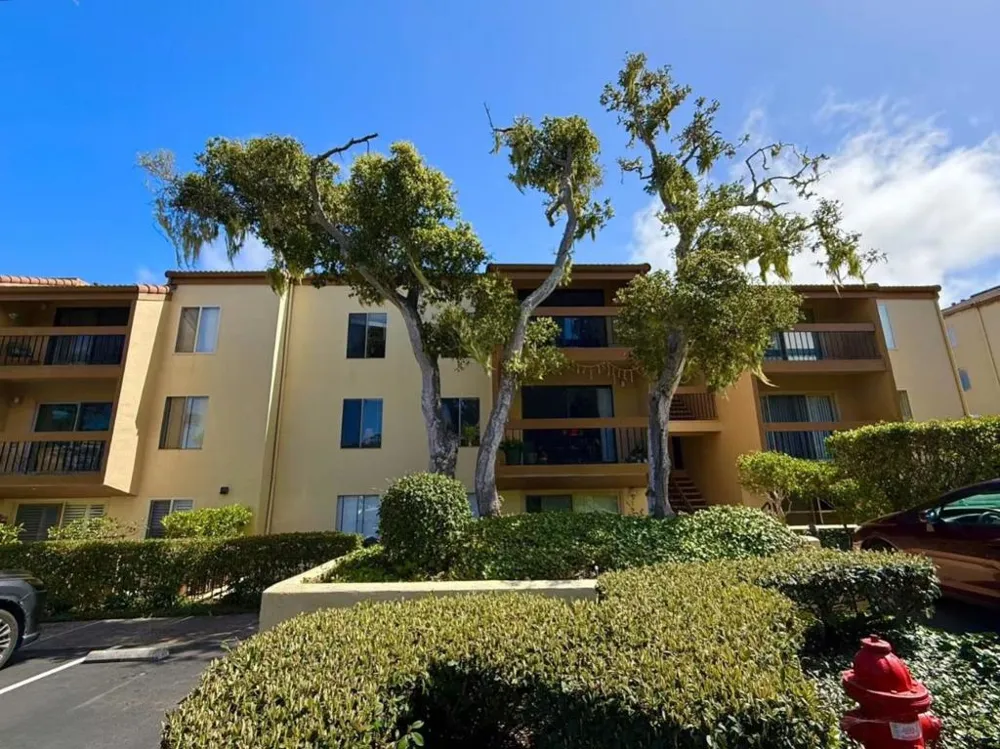 2308 Golden Oaks Lane Monterey, CA 93940