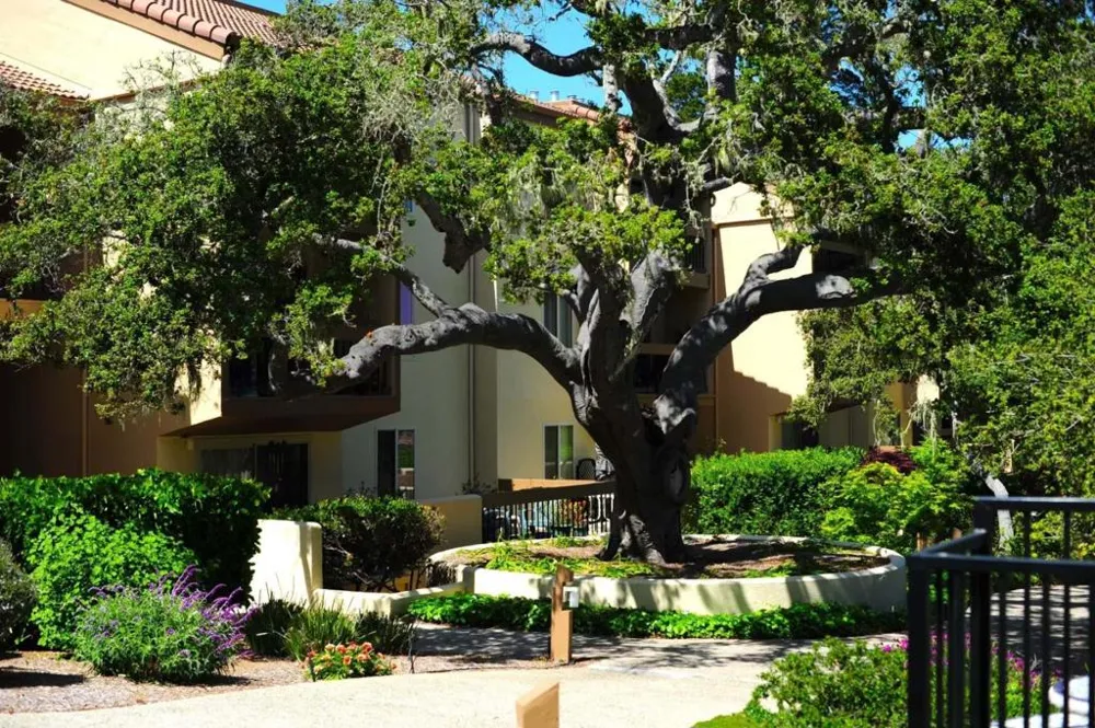 2308 Golden Oaks Lane Monterey, CA 93940