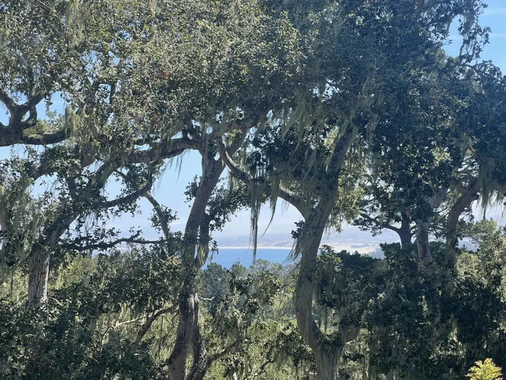 2308 Golden Oaks Lane Monterey, CA 93940