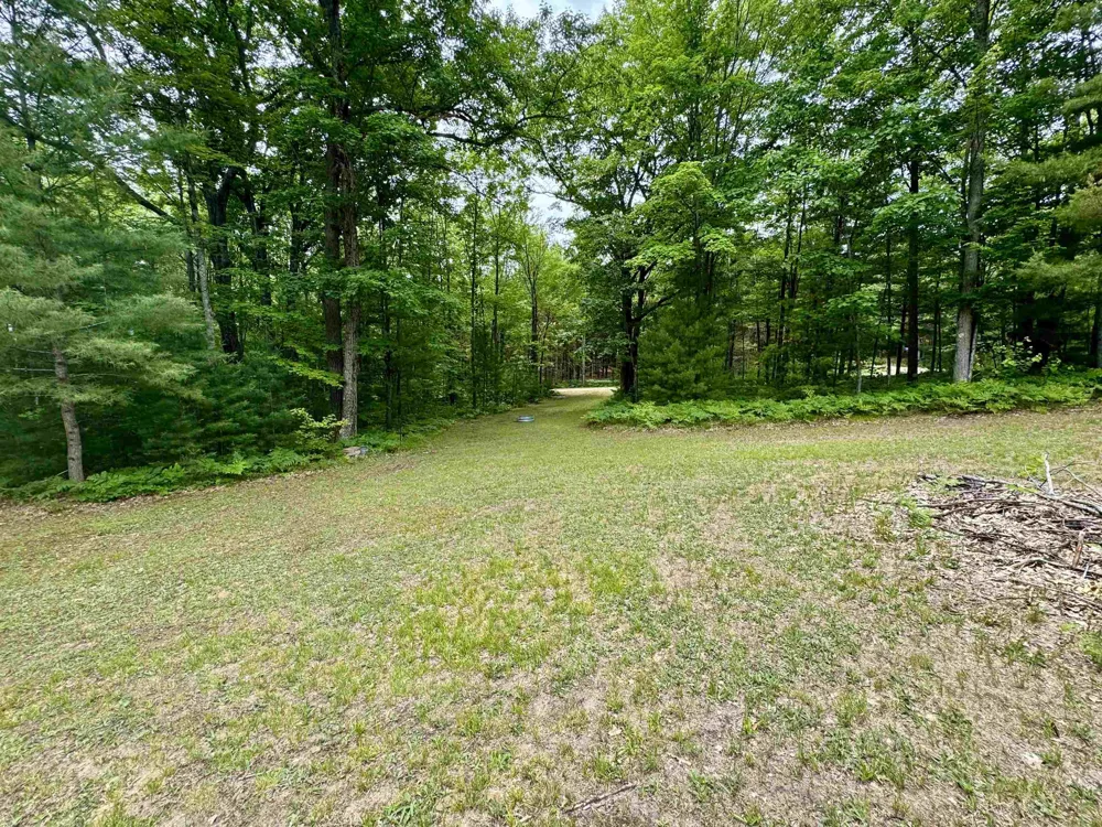 4247 SW Bald Eagles View Boardman Township, MI 49680