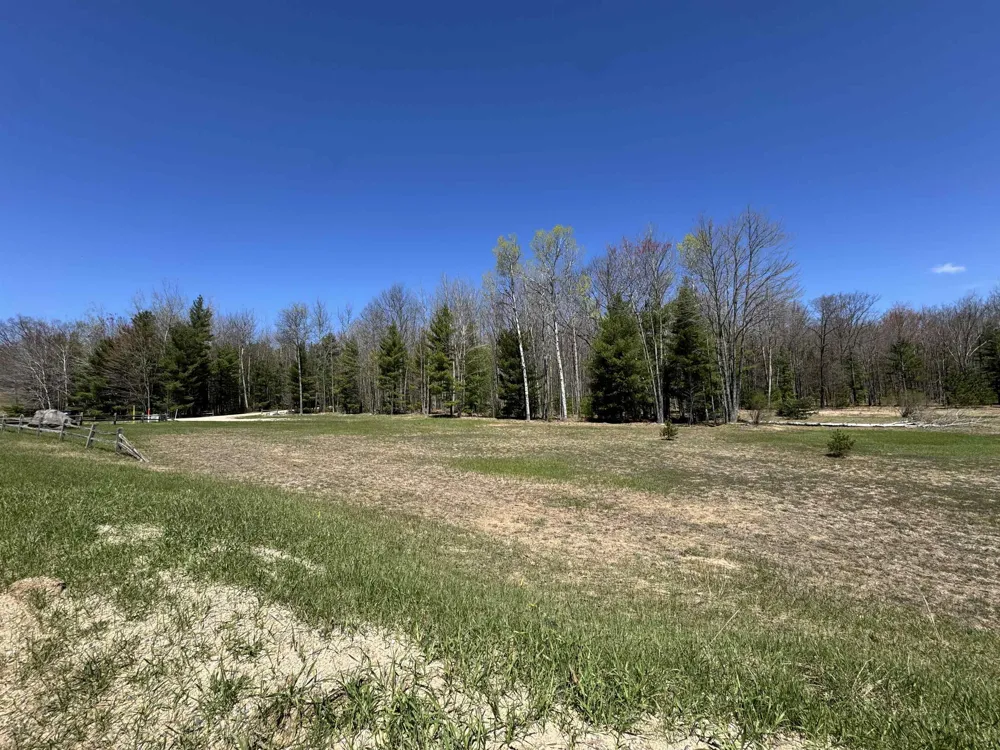 4247 SW Bald Eagles View Boardman Township, MI 49680