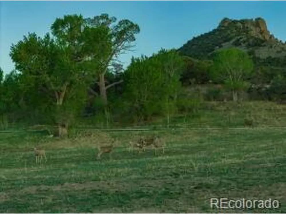 640 County Rd 571 Gardner, CO 81040