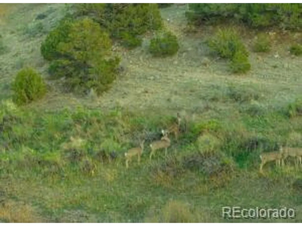640 County Rd 571 Gardner, CO 81040