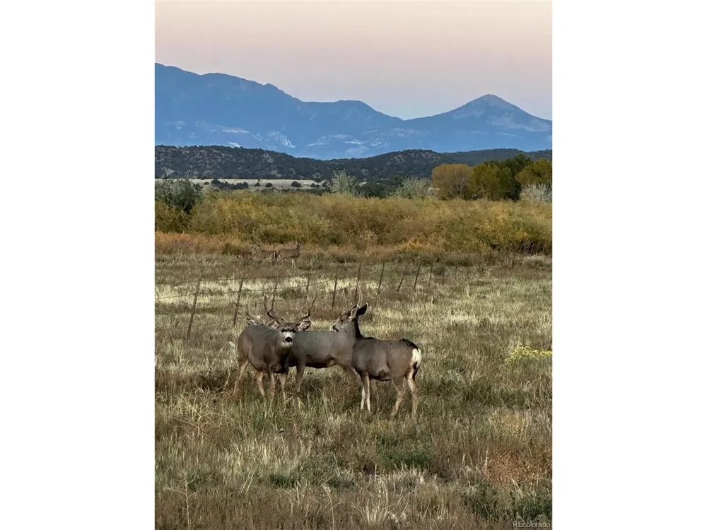 640 County Rd 571 Gardner, CO 81040